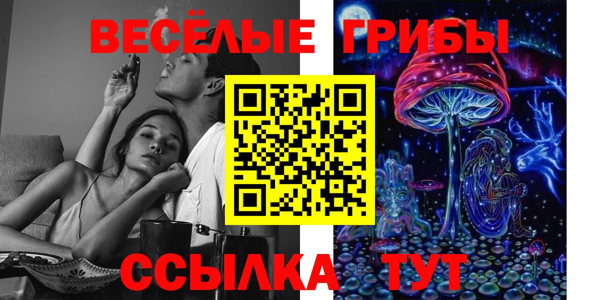 Галлюциногенные грибы Psilocybine cubensis  Вход с VPN  наркошоп  Топки 